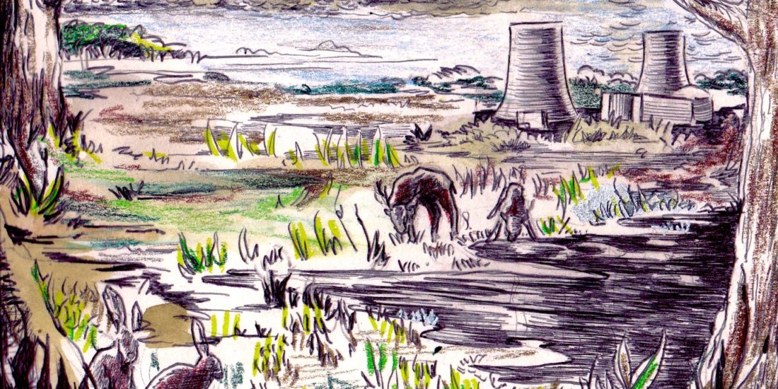 Illustrations sur le thème du nucléaire en France, sur le débat et les enjeux que recoupe ce secteur