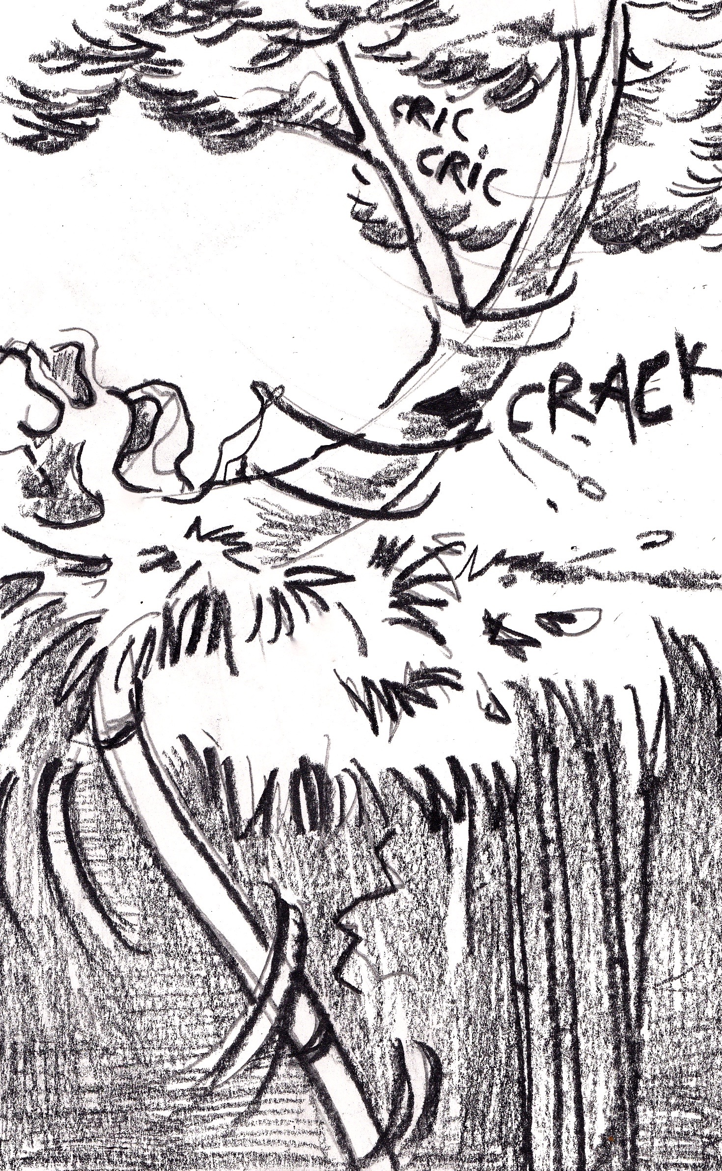 Dessins au crayon illustrant la biodiversité costaricienne, les efforts pour la préserver et leurs contradictions