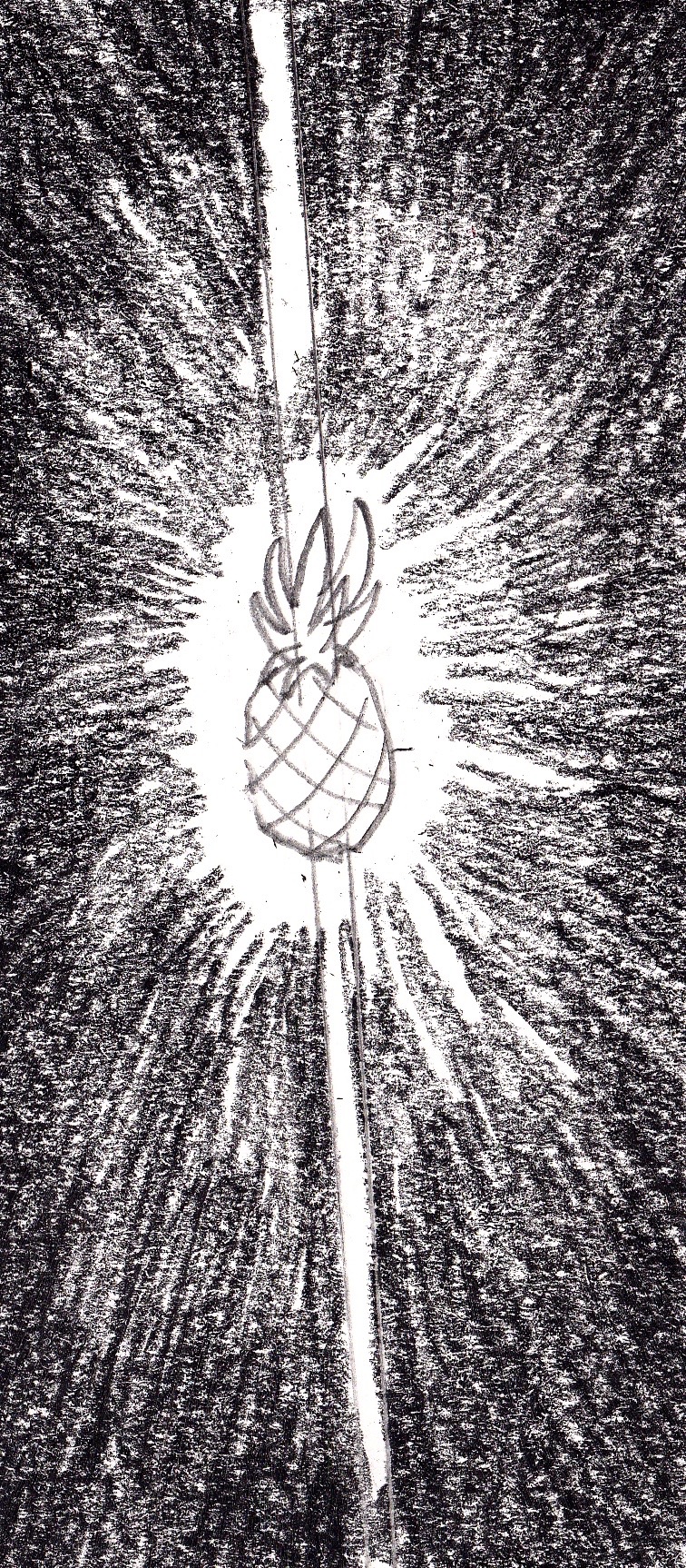 Dessins au crayon illustrant la biodiversité costaricienne, les efforts pour la préserver et leurs contradictions