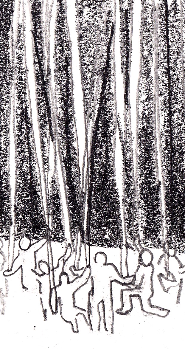 Dessins au crayon illustrant la biodiversité costaricienne, les efforts pour la préserver et leurs contradictions