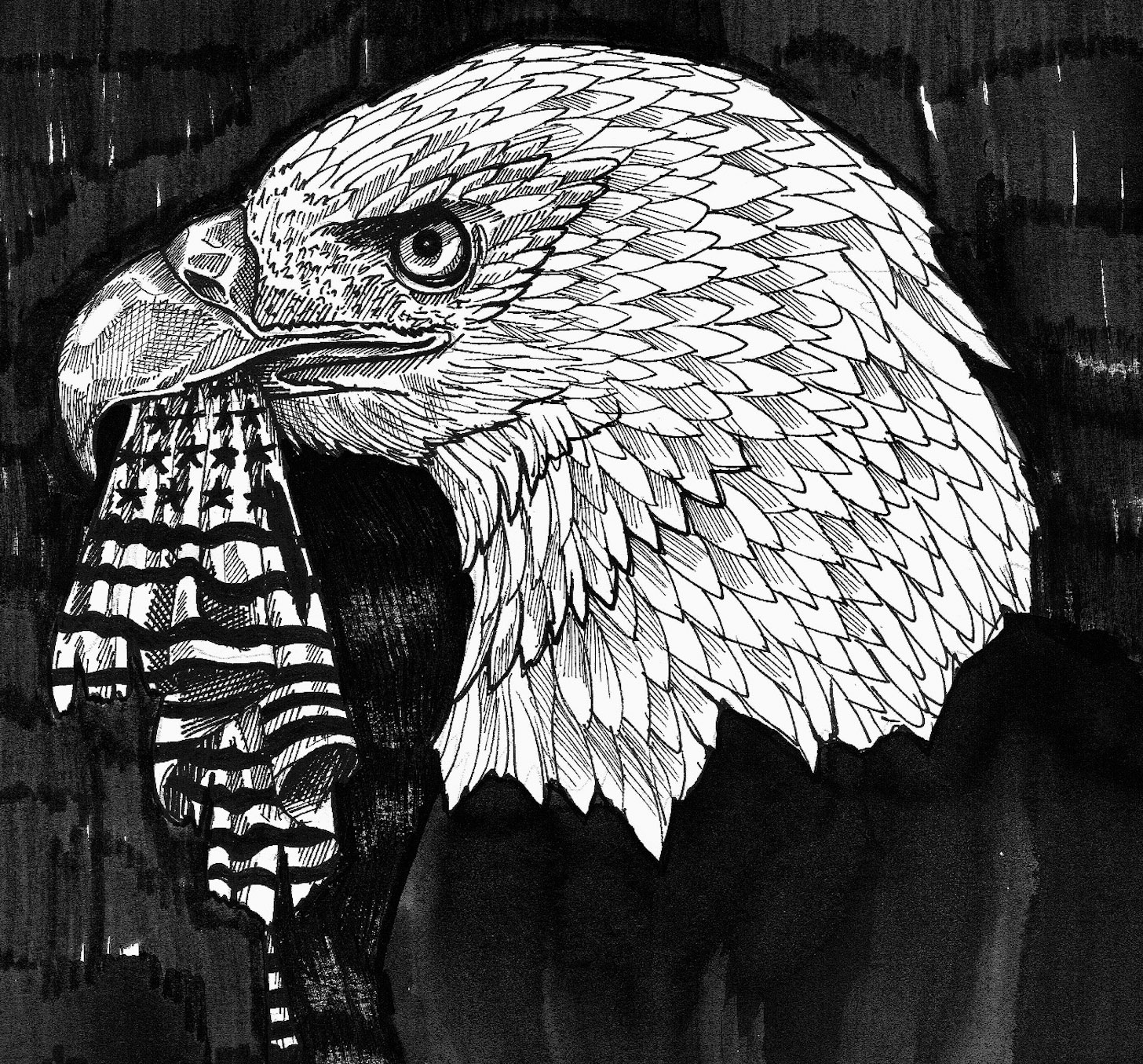 Illustrations d'Ophélie Belly Courbis sur les raisons du vote Trump, un an après son élection