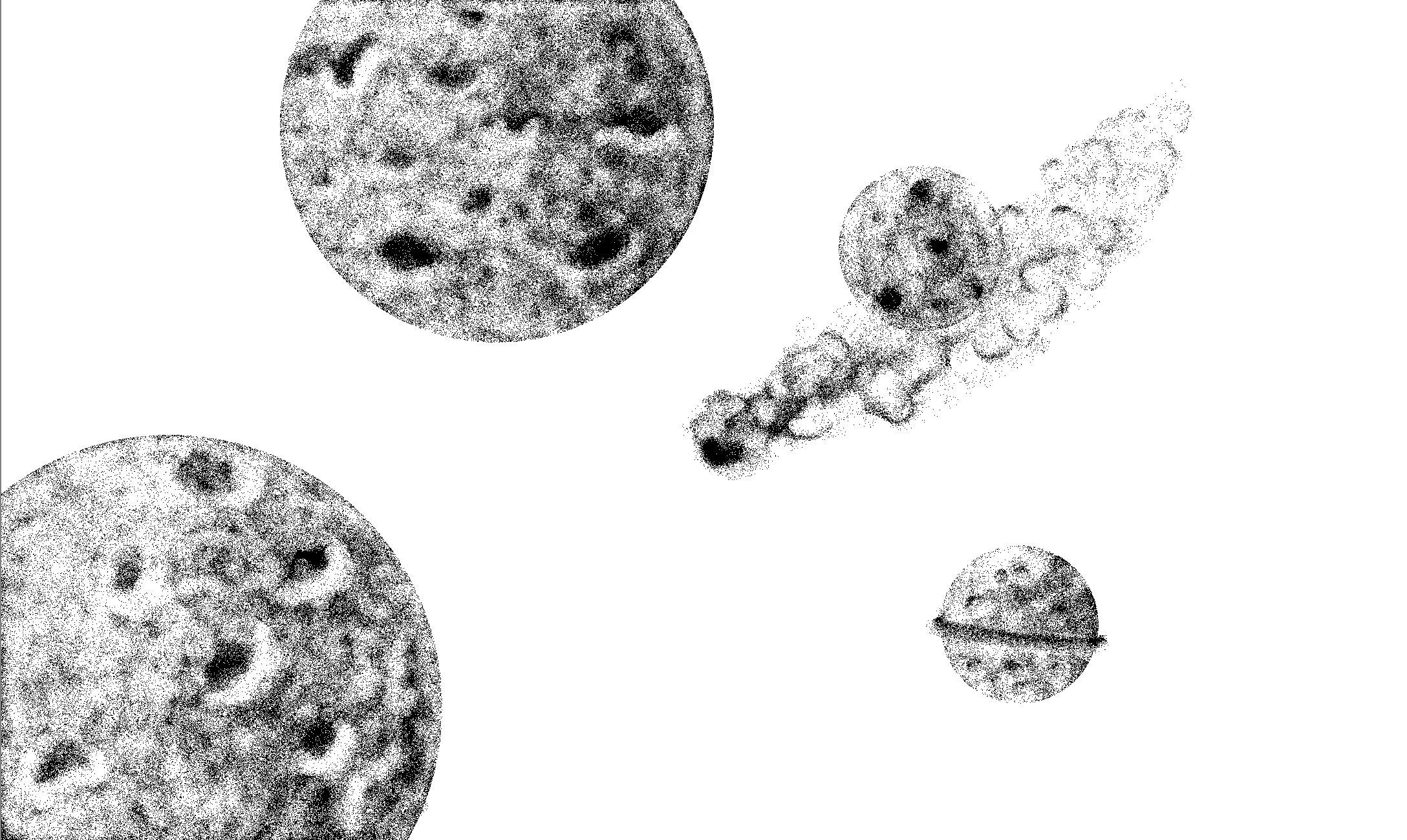 La panspermie, doit-on chercher l'origine de la vie dans les météorites ? Illustrations d'Hugo BM