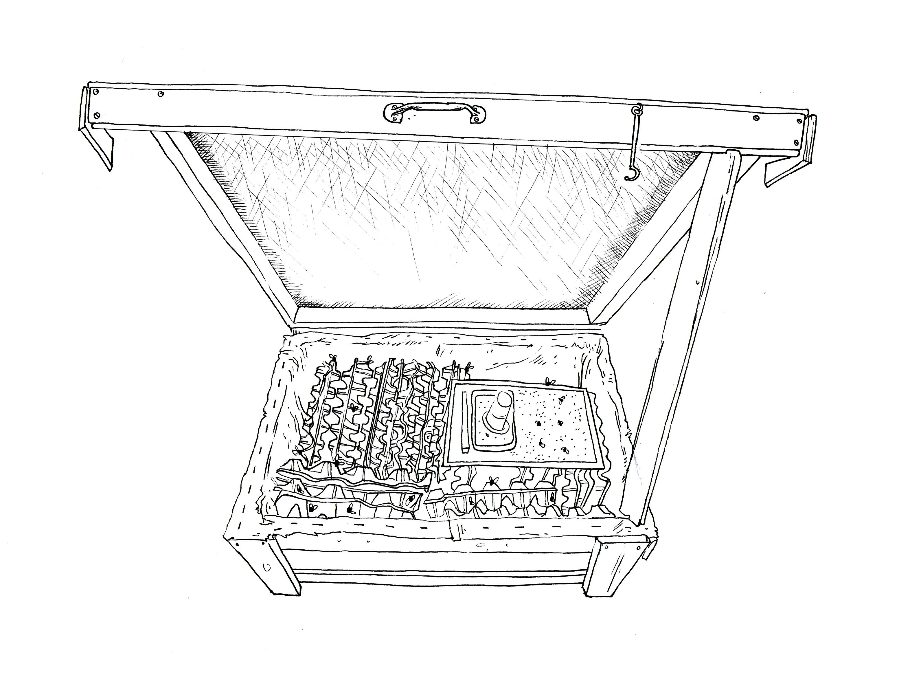 Low-tech : les vraies technologies du futur. Illustrations d'Eric Vanderhaegen